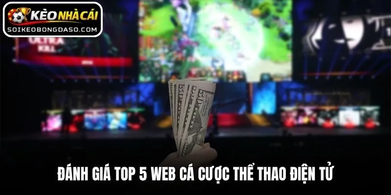 Top 5 Web Cá Cược Thể Thao Điện Tử Uy Tín Nhất Thị Trường 1 Đánh giá top 5 web cá cược thể thao điện tử