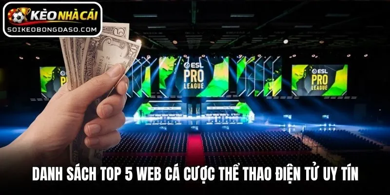 Top 5 Web Cá Cược Thể Thao Điện Tử Uy Tín Nhất Thị Trường 2 Danh sách top 5 web cá cược thể thao điện tử uy tín