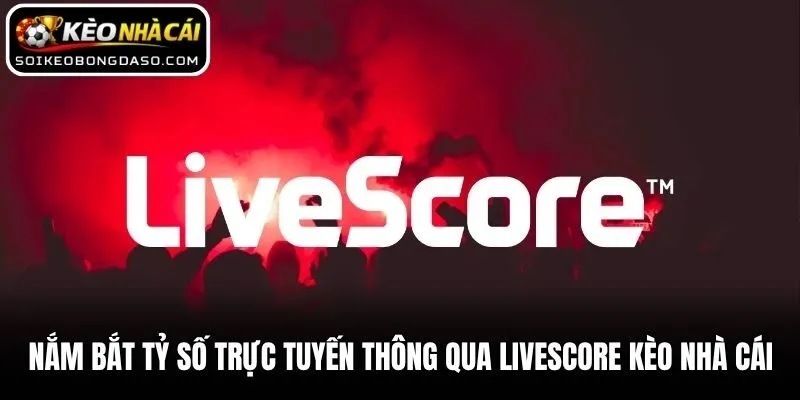Nắm bắt tỷ số trực tuyến thông qua Livescore Kèo nhà cái
