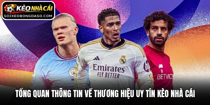 Tổng quan thông tin về thương hiệu uy tín Kèo nhà cái