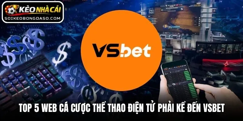 Top 5 Web Cá Cược Thể Thao Điện Tử Uy Tín Nhất Thị Trường 3 Top 5 web cá cược thể thao điện tử phải kể đến VSBET